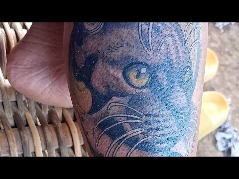 Tattoo (MEANS)Cat tattoo
