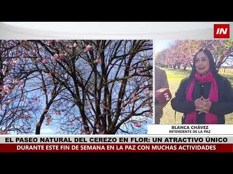 LA PAZ SE VISTE DE FIESTA CON GRAN FESTIVAL ARTÍSTICO Y GASTRONÓMICO