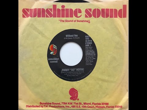 Video thumbnail for Without You (7" Version)