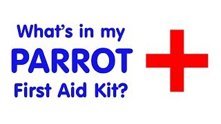 Parrot Emergency & First Aid Kit!  Make One Yourself!