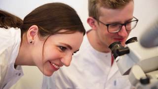 Why study Medicine in Copenhagen?