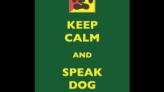 Stop Barking - Miniature Schnauzer - Dog Training of Fort Myers - Patrick Logue