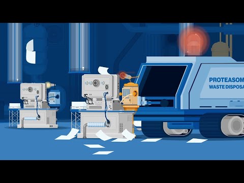 Innovative Cancer Treatment | Character Animation | Explainer | Novartis