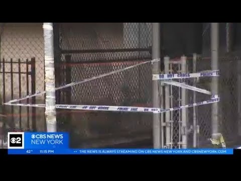 2 arrested in connection to burglary at Bronx school