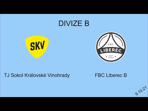 Highlights - Florbal - Divize:  TJ Sokol Královské Vinohrady - FBC Liberec B