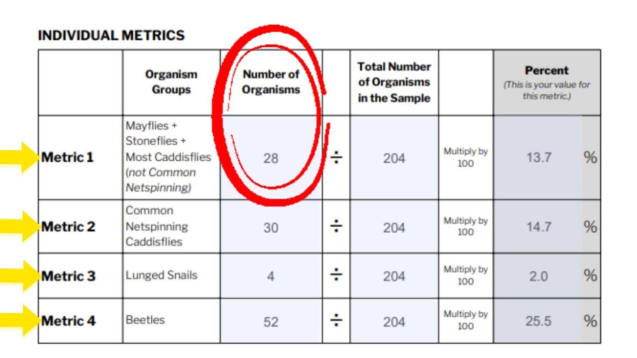 Virginia Save Our Streams: Filling Out the Datasheet
