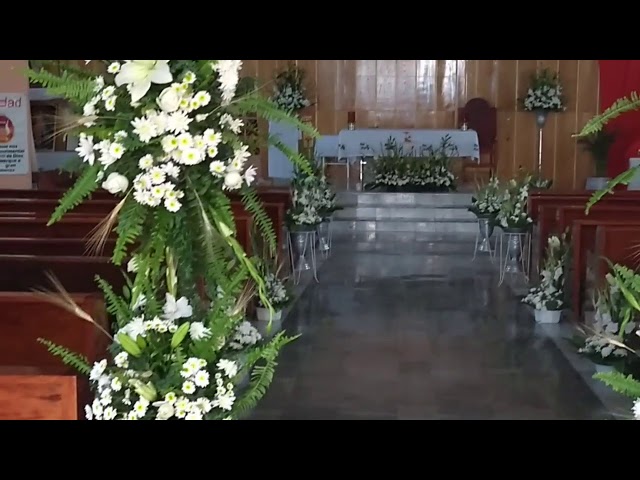 Vídeo relacionado con Healeved Cáliz de Altar de Latón Dorado, Copa Sagrada Ligera y Versátil para Comunión y Ceremonias en Casa o Cenas Formales