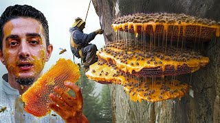 Amazing Wild Honey Harvest: Jungle Bee Hunting Like You’ve Never Seen