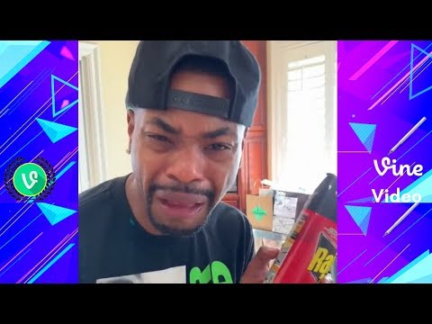 KingBach NEW Instagram Videos - Vine compilation - Vine Video 2018