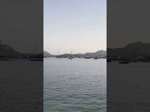 The calm waters of Pollenca Bay End of May  #mallorca #relaxing #spain