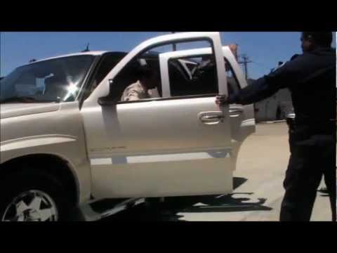 El Águila Blanca (Los Tucanes de Tijuana)