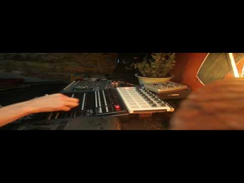 Boogie Mushroom - Live [Acid Tribe 150bpm]