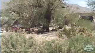 Vallecito County Park Video