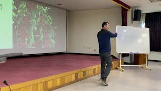 과일(특히체리)비대시키는 방법(고창기술센터)