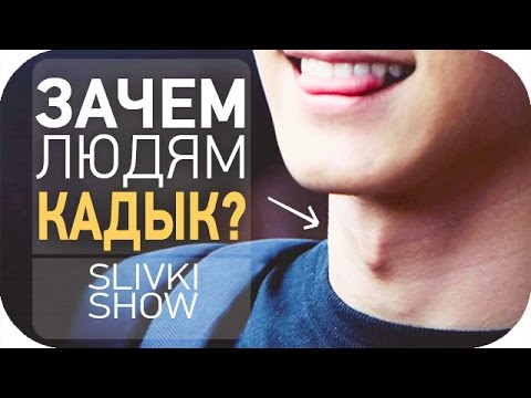 Нарушение менструального цикла боли в пояснице Почему хрустят суставы во всем теле в 60