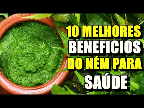Os 10 incríveis Benefícios da planta neem...