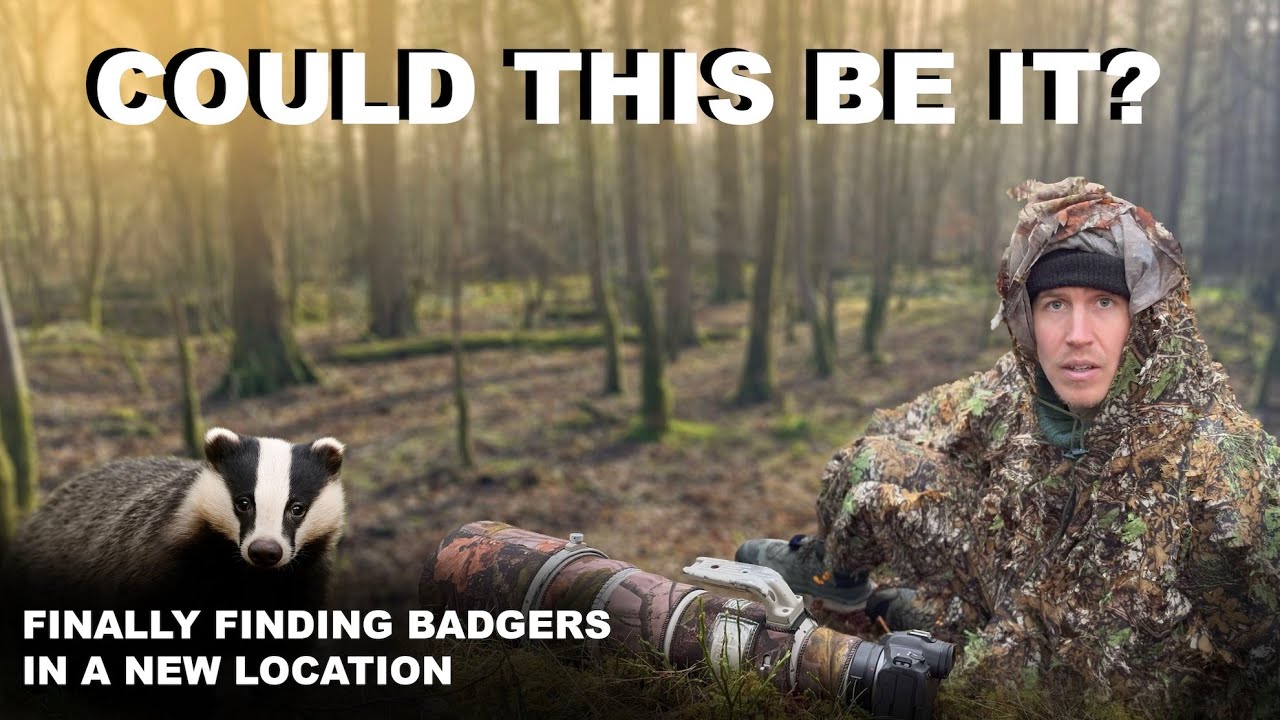 Finding a new location for BADGER photography