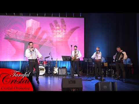 Cornel OPREA- Omul din greseli invata-  LIVE Concert 2018