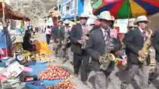 CHINCHILPOSANTIAGUERO CHISMOSA Y VENENOSA