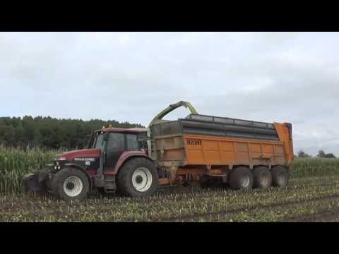 Landb. Bogaert - Stekene