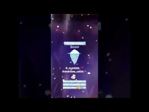 NMW Berechet x Robi x Tussin - Antarctica