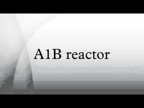 A1B reactor