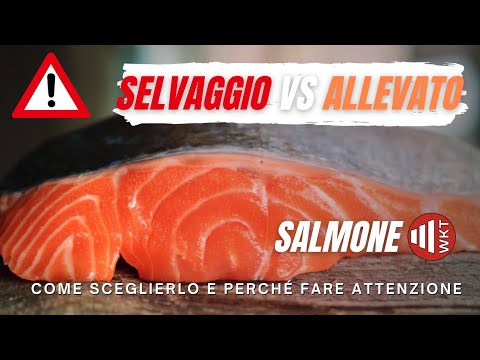, title : 'SALMONE SELVAGGIO VS SALMONE ALLEVATO! Fai attenzione!'