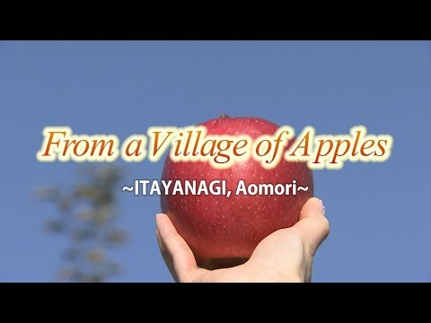 From a Village of Apples（APPLE）ITAYANAGI､Aomori