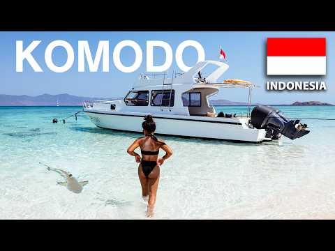 1 Day Boat Tour in the Komodo Islands