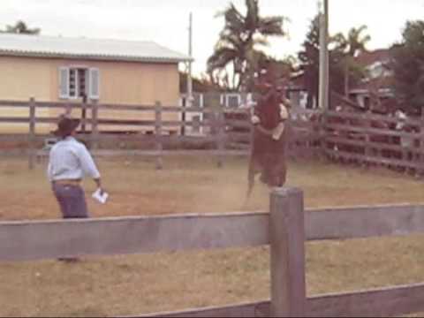 Seival (Tropilha Santa Margarida) x Jeferson Pereira