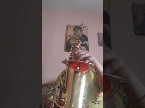 Primirea la nunta +pinguinu🎷🎷 la saxofon