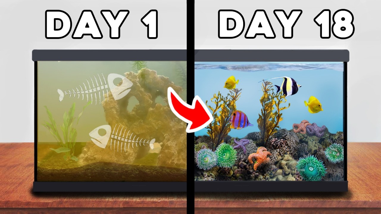 I Simulated a Tidepool for 30 Days