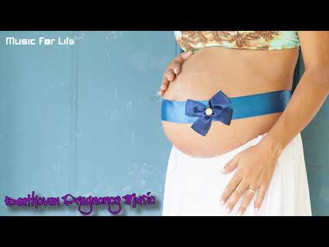 Pregnancy Music Mozart | Mozart Music For Brain Development | Unborn Baby.