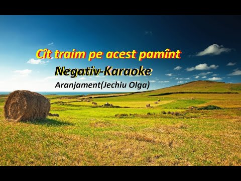Cît trăim pe acest pământ / #Negativ #karaoke #cittraimpeacestpamant #muzica #instrumental 