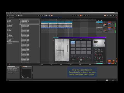 Free Download Vocal Hooks With Sandrah WAV-DiSCOVER