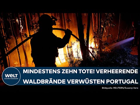 PORTUGAL: Mindestens zehn Tote! Verheerende Waldbrände! Die Feuerwehr kämpft gegen die Flammen