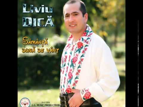 Liviu Dica - Cine are-n lume fata.