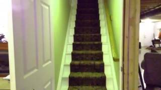 "True Colours"-video star (ft. Clara)