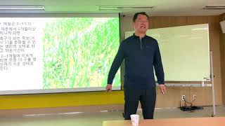 매주콩(백태) 이야기