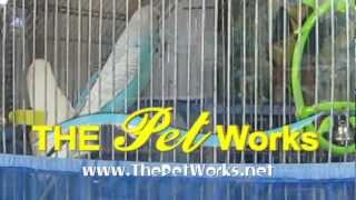 Pet Works Commercial