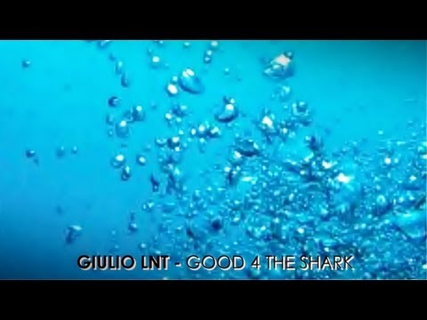 Giulio Lnt - Into The Shark (Original Mix)