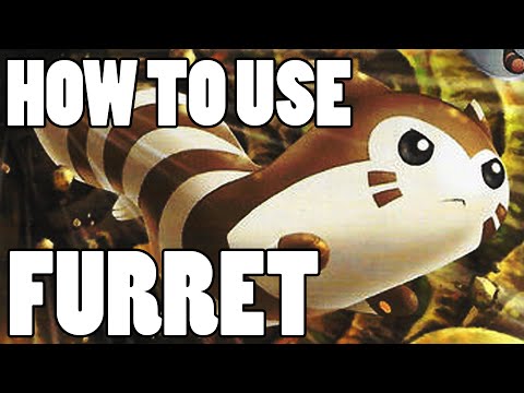 How To Use: Furret! Furret Strategy Guide ORAS / XY