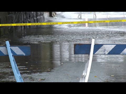 Flooding, Snow & Foliage