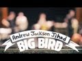 [IYMI] Andrew Jackson Jihad - Big Bird : Live at ...