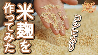 【米と菌の魔法】さいたま市で米麹を手作りしてみた！