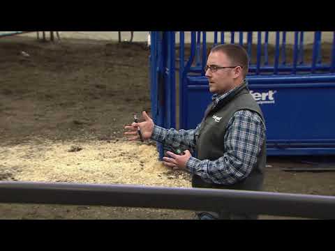 2018 Angus Convention - Angus University with Dr. Jason Nickell