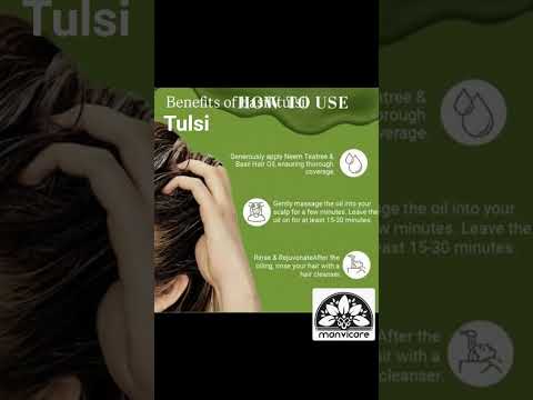 Tulsi Oil Soluble Extract, Liquid, 1 kg