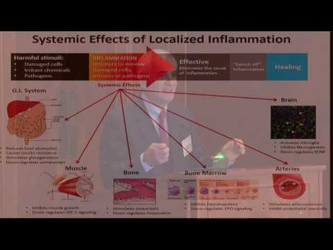 9/13/16 Session 2: Ferrucci
