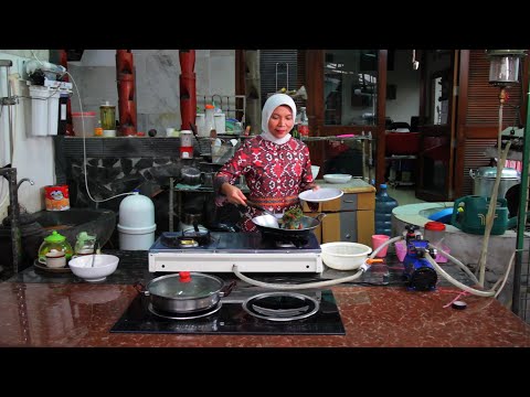 Energy-Self-Sufficient Homes Produce Gas, Electricity, and Food from Household Waste