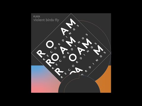 Violent Birds Fly (Original Mix) - FLXXX